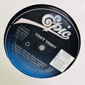 Tony Terry Forget The Girl 12" Vinyl Maxi Single Record (5 Mixes) Epic 1989
